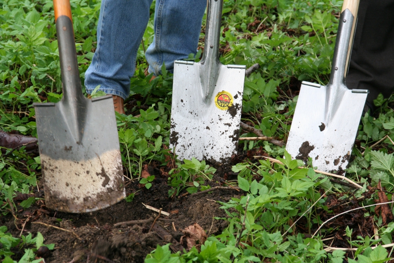 pepiniere-UTELLE-min_work-lawn-flower-tool-green-backyard-1103633-pxhere.com